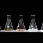mestic-process-black
